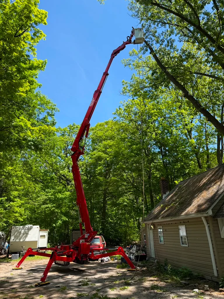 Arborix Tree Service